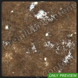 PBR Substance Material of Ground Forest Snowy